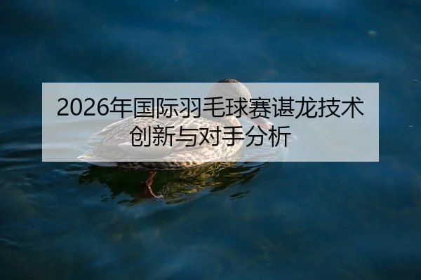 nian-guo-ji-yu-mao-qiu-sai-chen-long-ji-shu-chuang-xin-yu-dui-shou-fen-xi-2-573.jpg