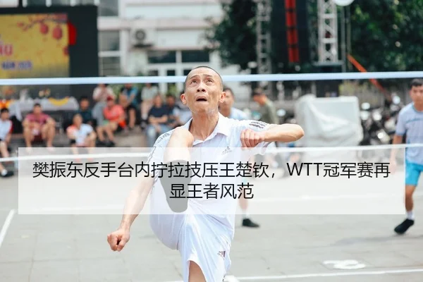 樊振东反手台内拧拉技压王楚钦，WTT冠军赛再显王者风范