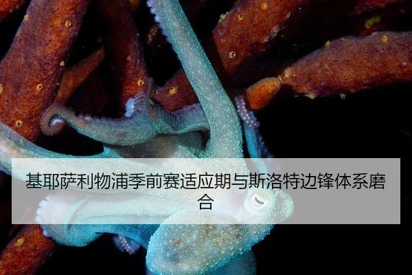 ji-ye-sa-li-wu-pu-ji-qian-sai-shi-ying-qi-yu-si-luo-te-bian-feng-ti-xi-mo-he-3-307.jpg